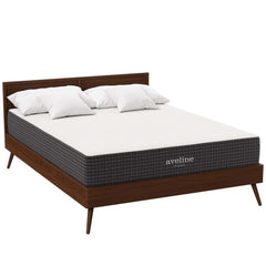 Aveline White 10" Queen Mattress - Ornate Home