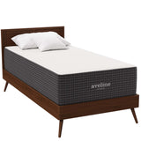 Aveline White 14" Memory Foam Twin Mattress - Ornate Home