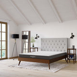 Aveline White 6" Queen Mattress - Ornate Home