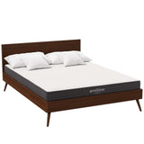 Aveline White 6" Queen Mattress - Ornate Home