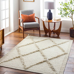 Awen Hand Knotted Wool Area Rug - Clearance - Ornate Home