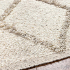Awen Hand Knotted Wool Area Rug - Clearance - Ornate Home