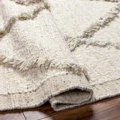 Awen Hand Knotted Wool Area Rug - Clearance - Ornate Home