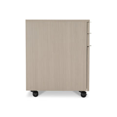 Axiom Linear Grey Three Drawer File Cabinet - Ornate Home
