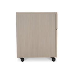 Axiom Linear Grey Two Drawer File Cabinet - Ornate Home
