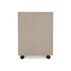 Axiom Linear Grey Two Drawer File Cabinet - Ornate Home