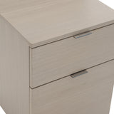 Axiom Linear Grey Two Drawer File Cabinet - Ornate Home