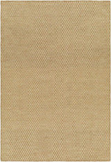 Ayers Beige Area Rug - Clearance - Ornate Home