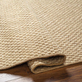 Ayers Beige Area Rug - Clearance - Ornate Home