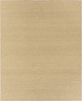 Ayers Beige Area Rug - Clearance - Ornate Home