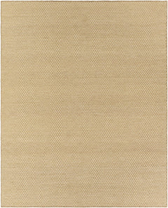 Ayers Beige Area Rug - Clearance - Ornate Home