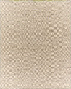 Ayers Beige & Gray Area Rug - Clearance - Ornate Home