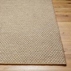 Ayers Beige & Gray Area Rug - Clearance - Ornate Home