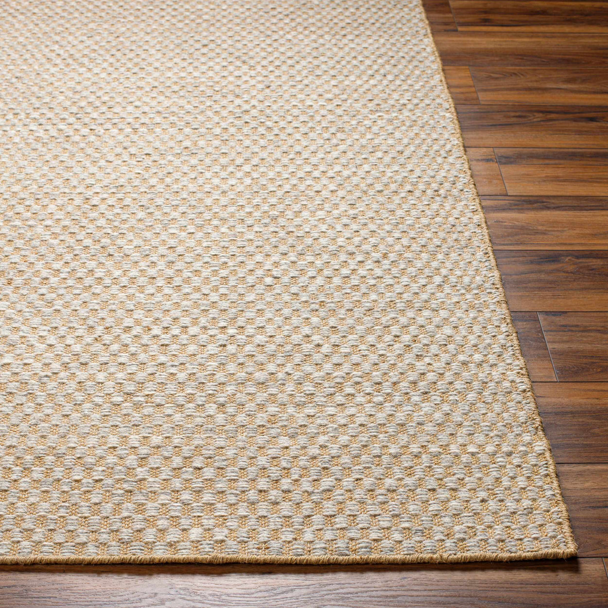 Ayers Beige & Gray Area Rug - Clearance - Ornate Home