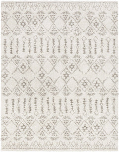Aylett Beige Trellis Shag Rug - Clearance - Ornate Home