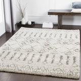 Aylett Beige Trellis Shag Rug - Clearance - Ornate Home