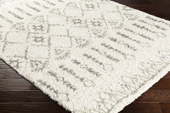 Aylett Beige Trellis Shag Rug - Clearance - Ornate Home
