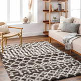 Aysel Shag Area Rug - Ornate Home