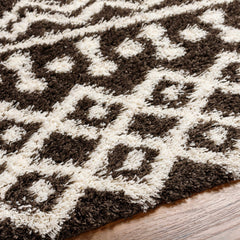 Aysel Shag Area Rug - Ornate Home