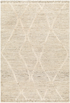 Aysu @Area Rug - Clearance - Ornate Home