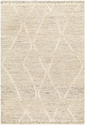 Aysu @Area Rug - Clearance - Ornate Home