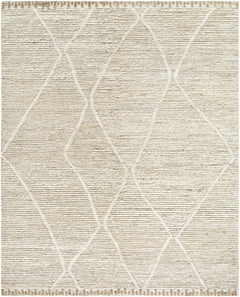 Aysu @Area Rug - Clearance - Ornate Home