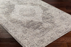 Azibo Outdoor Area Rug - Clearance - Ornate Home