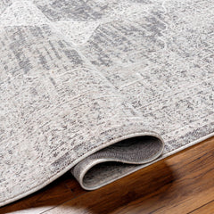 Azibo Outdoor Area Rug - Clearance - Ornate Home