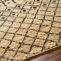 Aziza Area Rug - Clearance - Ornate Home
