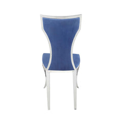 Azriel Side Chair(Set-2) - Ornate Home