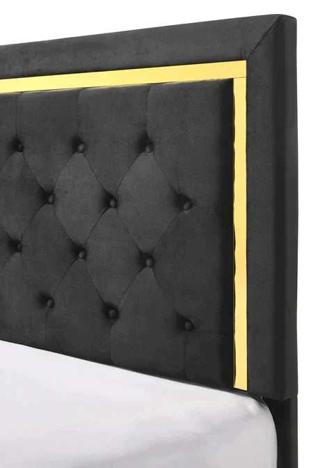 Pepe Black & Gold Upholstered Panel Bedroom Sets - Ornate Home