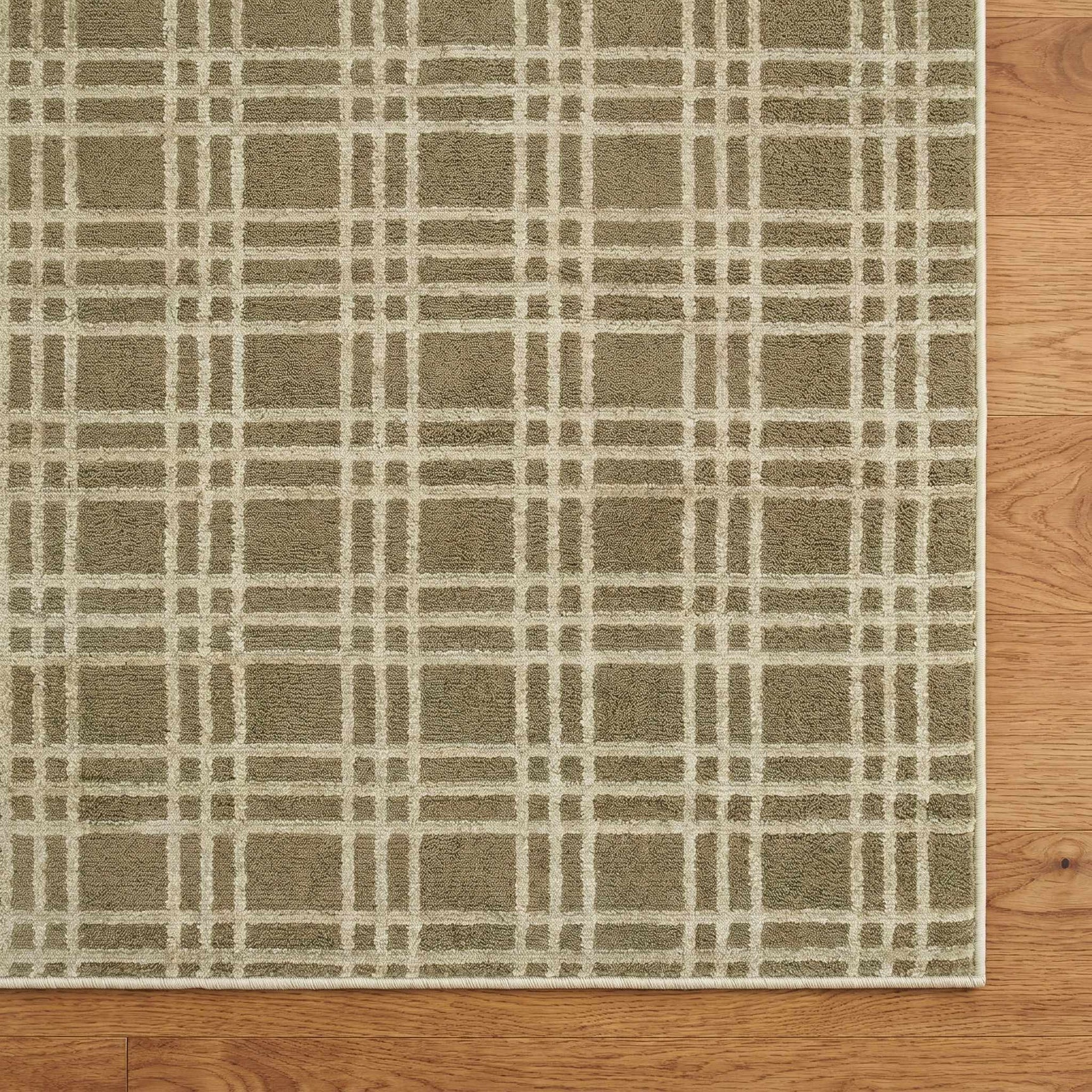 Eliseo Olive Area Rug