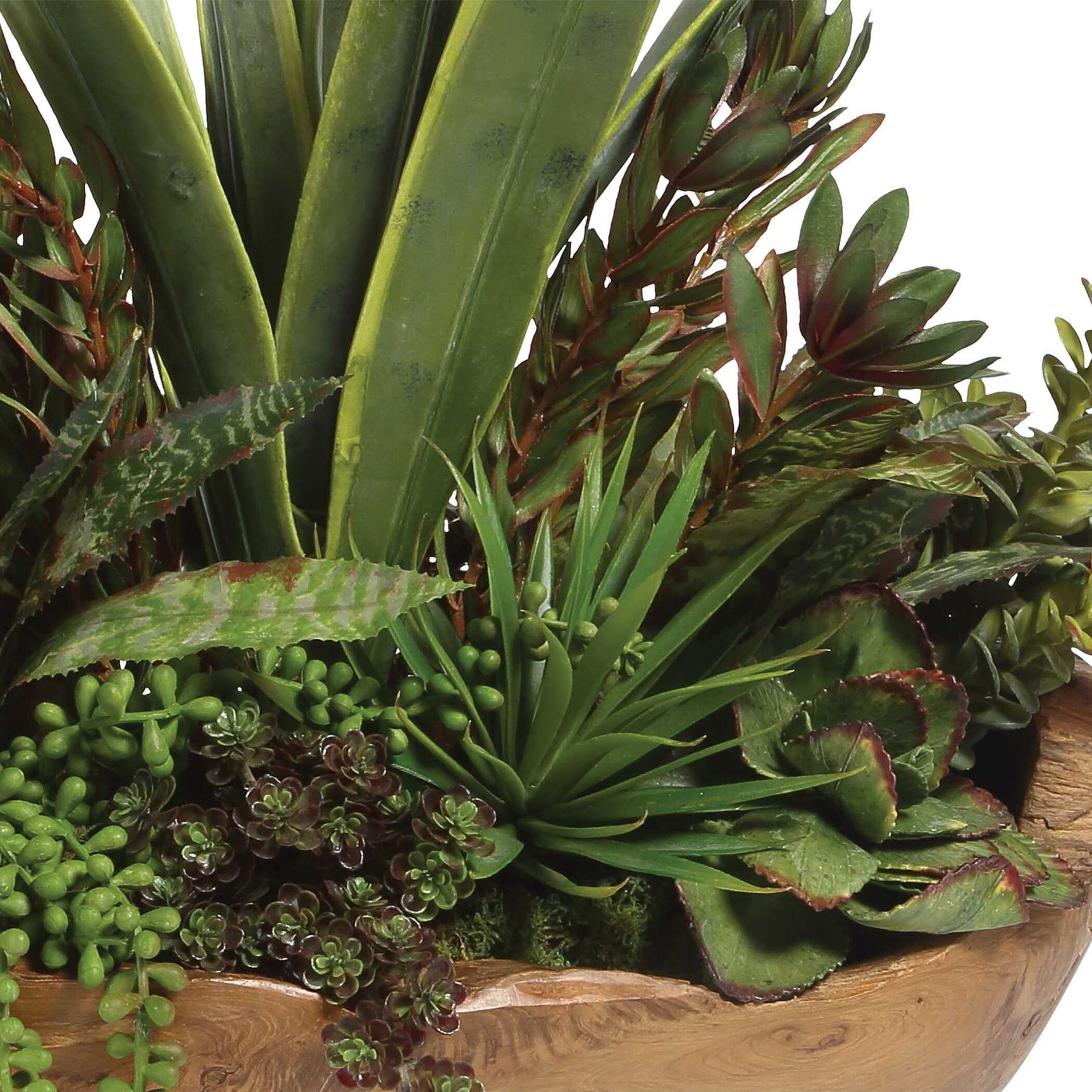 Salar Teak Succulents In Bowl