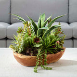 Salar Teak Succulents In Bowl