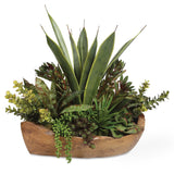 Salar Teak Succulents In Bowl