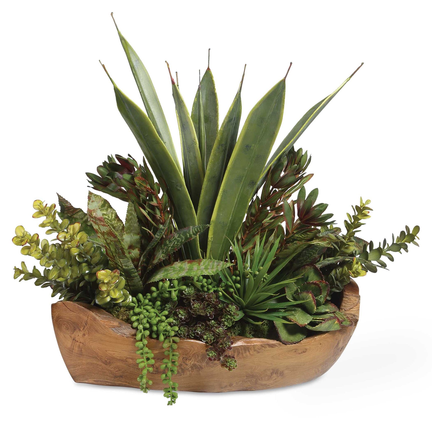 Salar Teak Succulents In Bowl