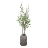 Aldis Birch Potted River