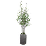 Aldis Birch Potted River