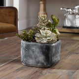 Alverio Black/Green Desert Garden Succulents