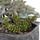 Alverio Black/Green Desert Garden Succulents