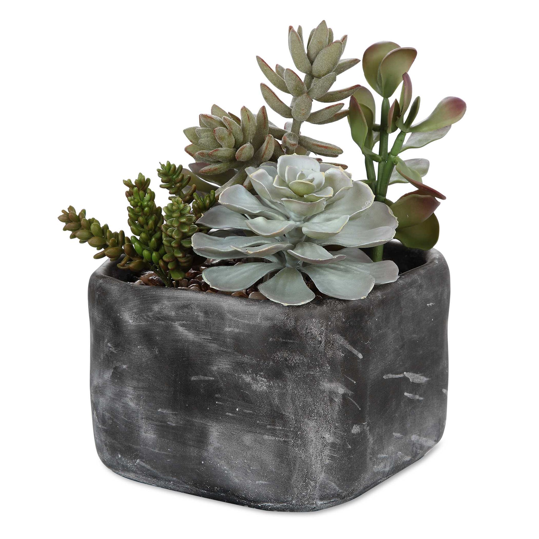Alverio Black/Green Desert Garden Succulents