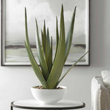 Evarado Green Aloe Planter