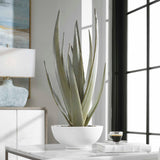 Evarado Green Aloe Planter