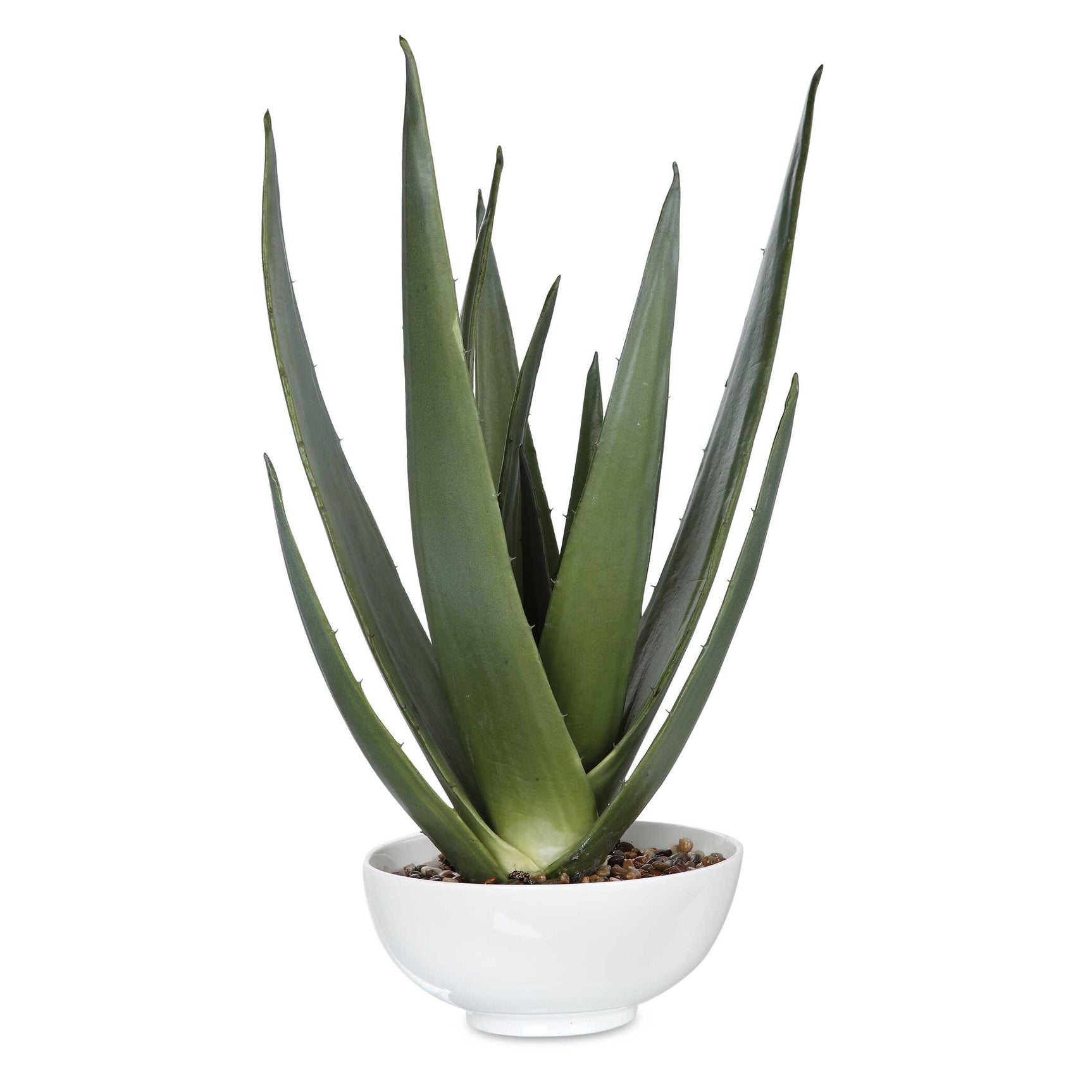 Evarado Green Aloe Planter