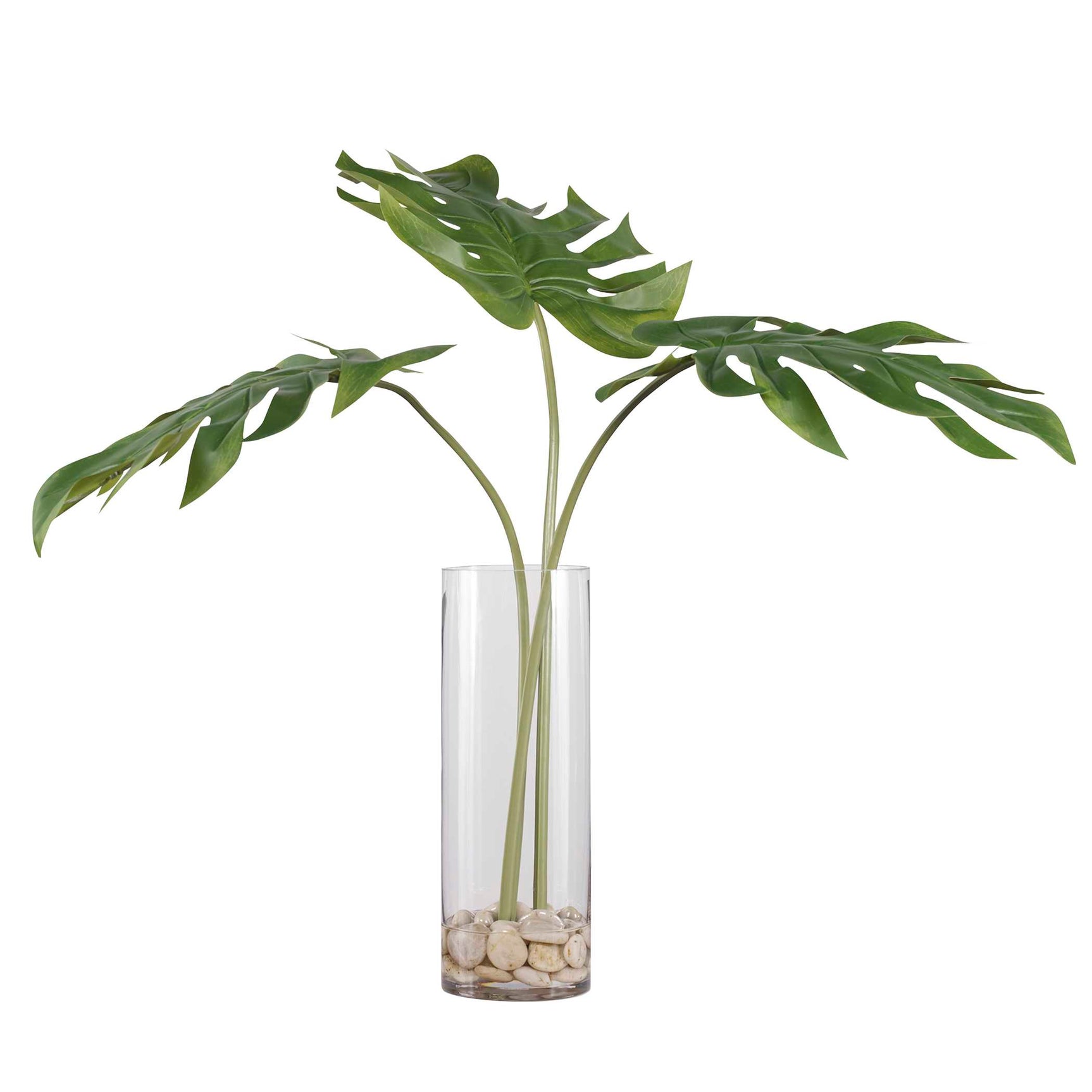 Ibero Green Split Leaf Palm