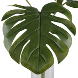 Ibero Green Split Leaf Palm