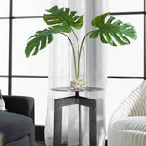 Ibero Green Split Leaf Palm