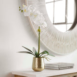 Cami Orchid Brass Pot