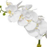 Cami Orchid Brass Pot