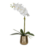 Cami Orchid Brass Pot